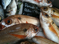 El mercado de St.Tropez