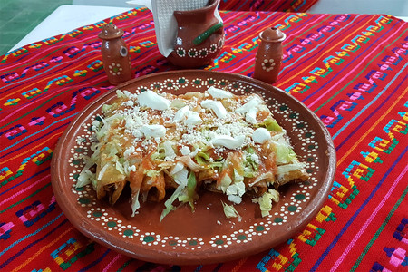 Enjitomatadas gratinadas con pollo. Receta fácil de la cocina mexicana