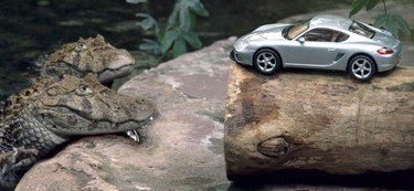 Porsche Cayman, desde hoy a la venta