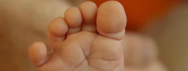 El dedo gordo del pie fue el que más tardó en evolucionar cuando comenzamos a ser bípedos