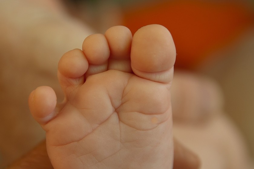 El dedo gordo del pie fue el que más tardó en evolucionar cuando