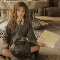 J.K Rowling ha excusado la habilidad de Hermione para hacer Poción Multijugos con doce años, pero se ha olvidado de justificar una de sus mayores pifias al respecto 