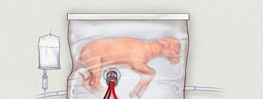 Crean un útero artificial para los grandes prematuros (pero la madre sigue siendo lo primero)