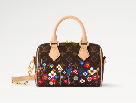 Louis Vuitton Speedy 20