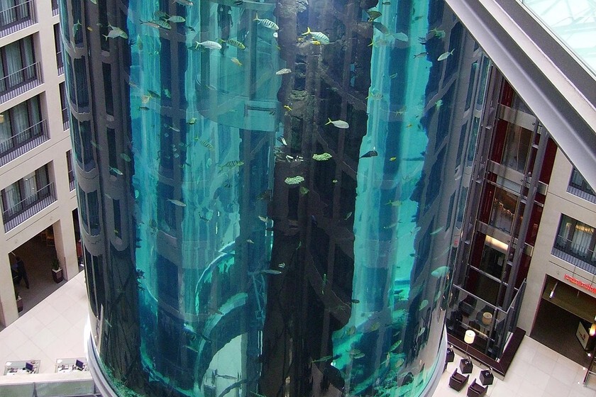 Revienta el acuario cilíndrico más grande del mundo: más de 1.500 peces ...
