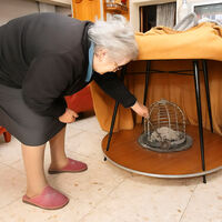 En Japón usaban el brasero de tu abuela para luchar contra el frío. Ahora lo han hecho gamer