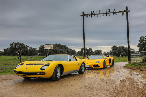 ¡Imágenes históricas! Este es el Lamborghini Miura en la ganadería de Miura
