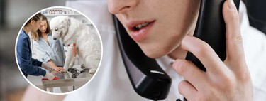 En España, si tu perro o gato enferma o muere, tienes que gastar días de vacaciones o asuntos propios. Esto puede cambiar pronto 