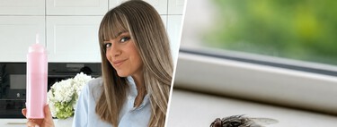 María Belén Romera, experta en hogar: “Para acabar con moscas y mosquitos yo utilizo esta mezcla con agua, azúcar, vinagre y un poco de líquido lavavajillas”