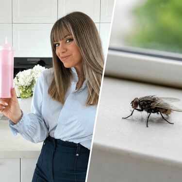 María Belén Romera, experta en hogar: “Para acabar con moscas y mosquitos yo utilizo esta mezcla con agua, azúcar, vinagre y un poco de líquido lavavajillas”