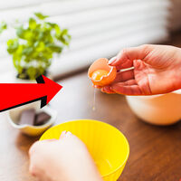 Desayuné huevos revueltos y me enfermé, pero la comida no estaba echada a perder. Este fue mi error