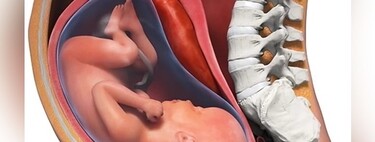 Crean un dispositivo que ayuda a prevenir los partos prematuros 
