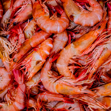 Los caladeros de langostino argentino están a 10.000 kilómetros de Galicia, pero mira de reojo: puede que la campaña de 2025 acabe pronto 