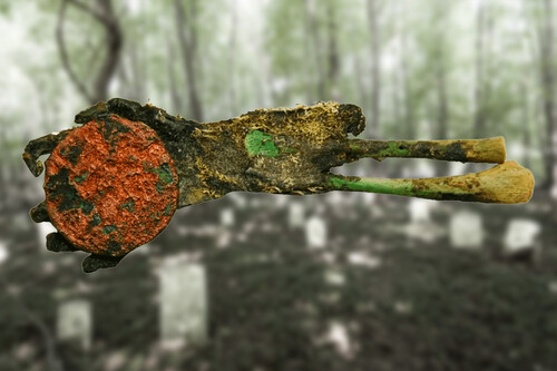 Una mano verde momificada agarrando una moneda en un cementerio abandonado. Un hallazgo arqueológico único que parece sacado de Indiana Jones