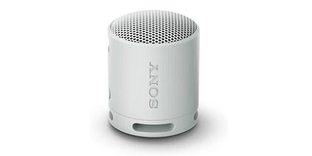 Altavoz Bluetooth SRS-XB100