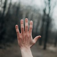 Mãos humanas são uma maravilha da engenharia biológica, mas também um mistério (que já estamos desvendando) 