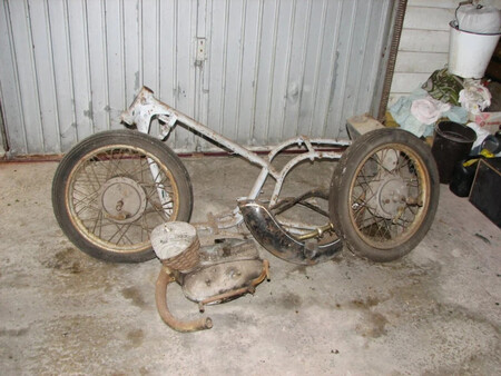 Dkw 5 2023