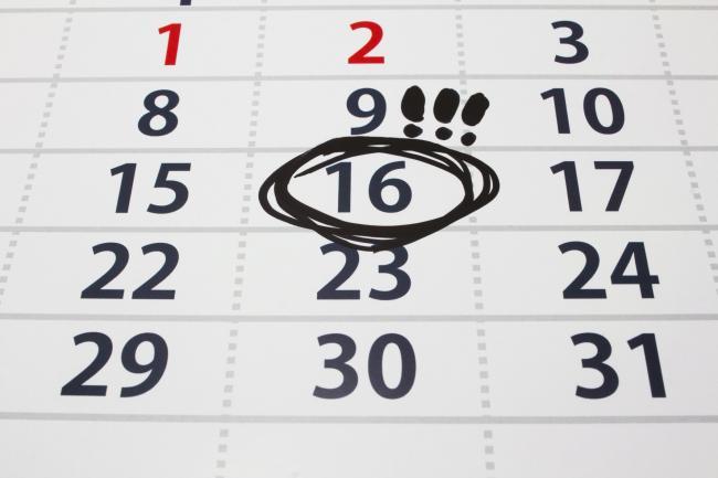Calendario