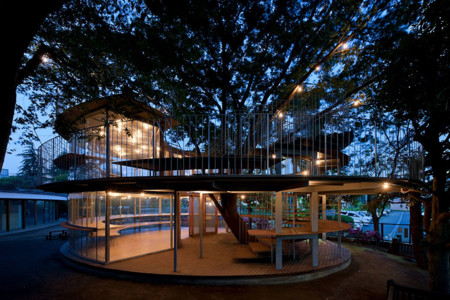 Kindergarten Around Tree Zelkova Fuji Tezuka Architects 17