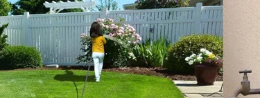 Cómo hacer un jardín desde cero: trucos, productos y todo lo que necesitas 