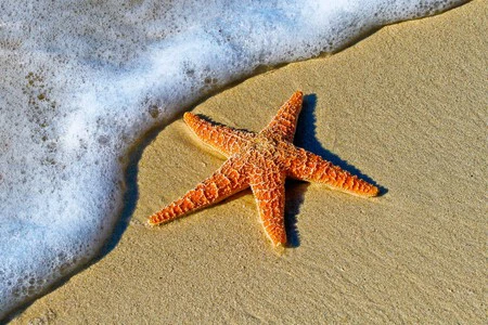 画像: Unsplash のペドロ・ラストラ