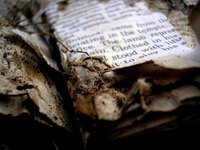 78 nuevas medidas para reducir las cargas administrativas