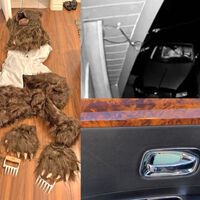 Se hizo pasar por un oso para destrozar su Rolls-Royce y cobrar el seguro. La policía encontró el disfraz en su casa