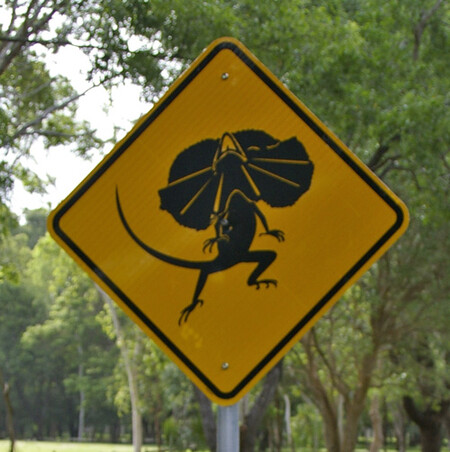 Frill Neck Lizard Road Sign