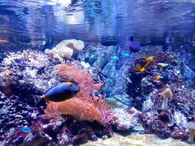 Acuario Cívico de Milán