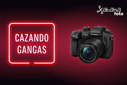 Panasonic Lumix GH5, Nikon Z50, Samsung Galaxy S21 Plus 5G y más cámaras, móviles, ópticas y accesorios en oferta en el Cazando Gangas