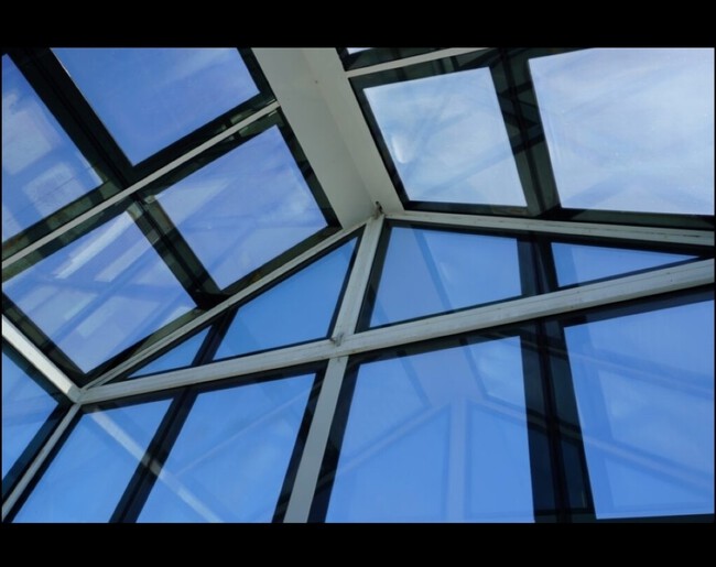 Warwick Web 1 1024x68893