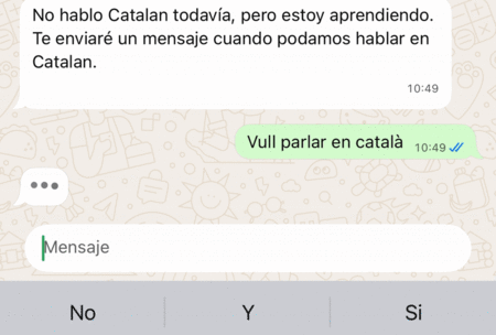 Meta AI responde correctamente, pero borra el mensaje