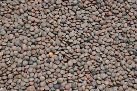 Pexels Micka Randrianjafisolo 434371703 30204272