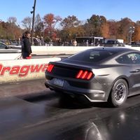 Ford Mustang EcoBoost contra V8, mejor no apuestes en este duelo