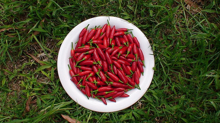 ¿Por qué nos gusta el picante?