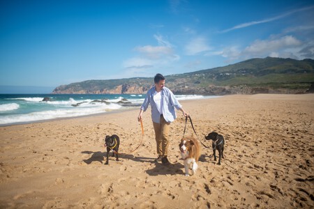 perros-playas-españa