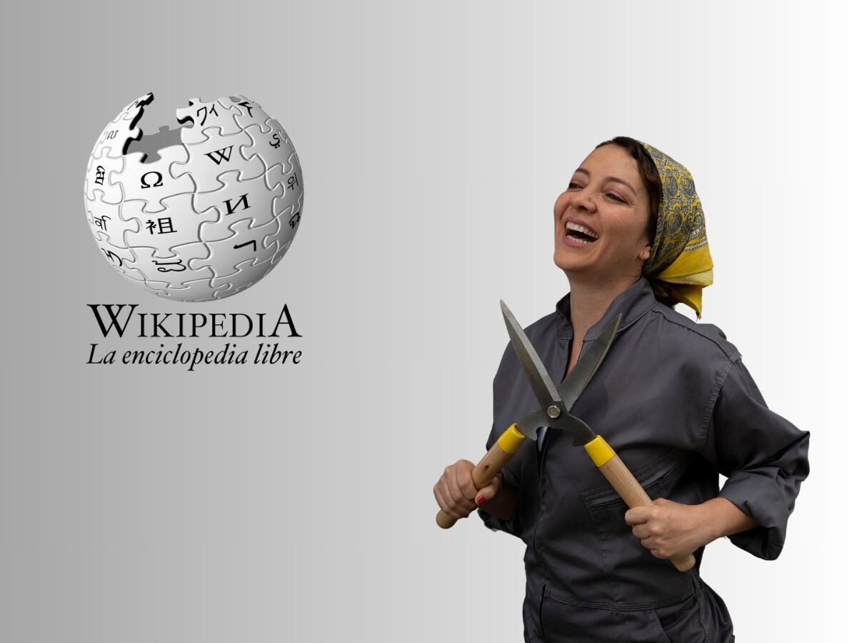 Qué ocurre cuando se pone información errónea en Wikipedia? Polémica por cambios en la descripción de Cony Camelo de MasterChef Celebrity Colombia