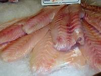 Cuidado con el consumo de panga y perca