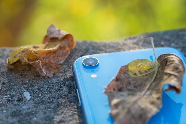 iPhone XR agua perdido 10 meses