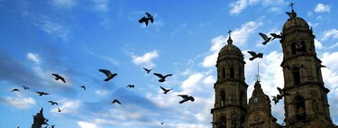 Qué hacer 24 horas en Zapopan, Jalisco: monumentos, zonas verdes y mucha comida