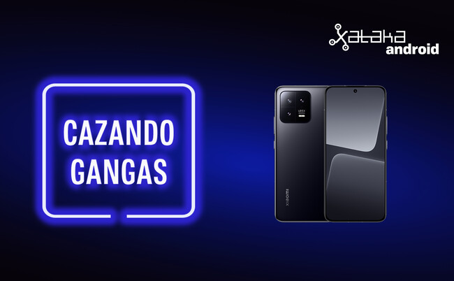 Cazando Gangas