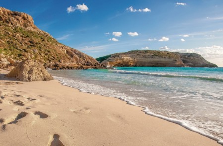 La isla de los conejos donde solo hay tortugas