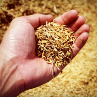 Parecía simplemente basura, pero este residuo que desecha el arroz es un "superalimento"