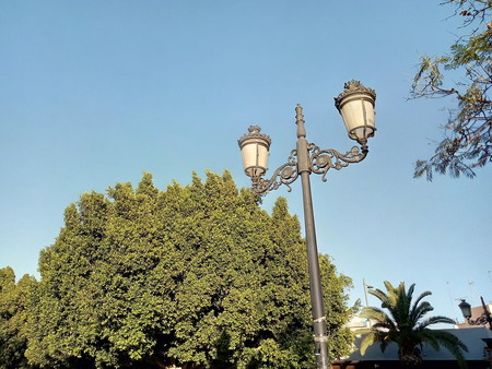 Análisis del Alcatel 1X