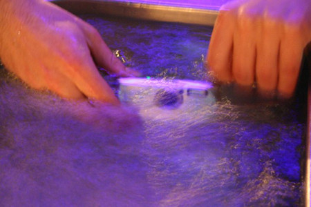 Cuida tu cámara del agua