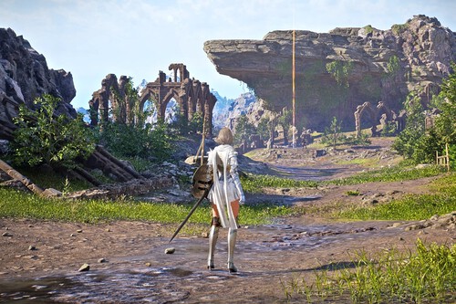 Vindictus: Defying Fate (Nexon)