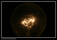 ¿Dónde surgen tus mejores ideas para el proyecto? 