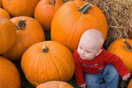 La foto de tu bebé: otoño entre calabazas gigantes