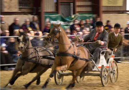 Conduciendo un carruaje