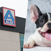 La semana que viene llega a Aldi (por menos de 5 euros) el accesorio con el que hasta tu mascota llevará mejor las olas de calor 